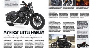 Occasion Harley-Davidson 883 Iron